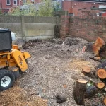 Why Do Homeowners Choose Stump Grinding Instead Of Excavation?