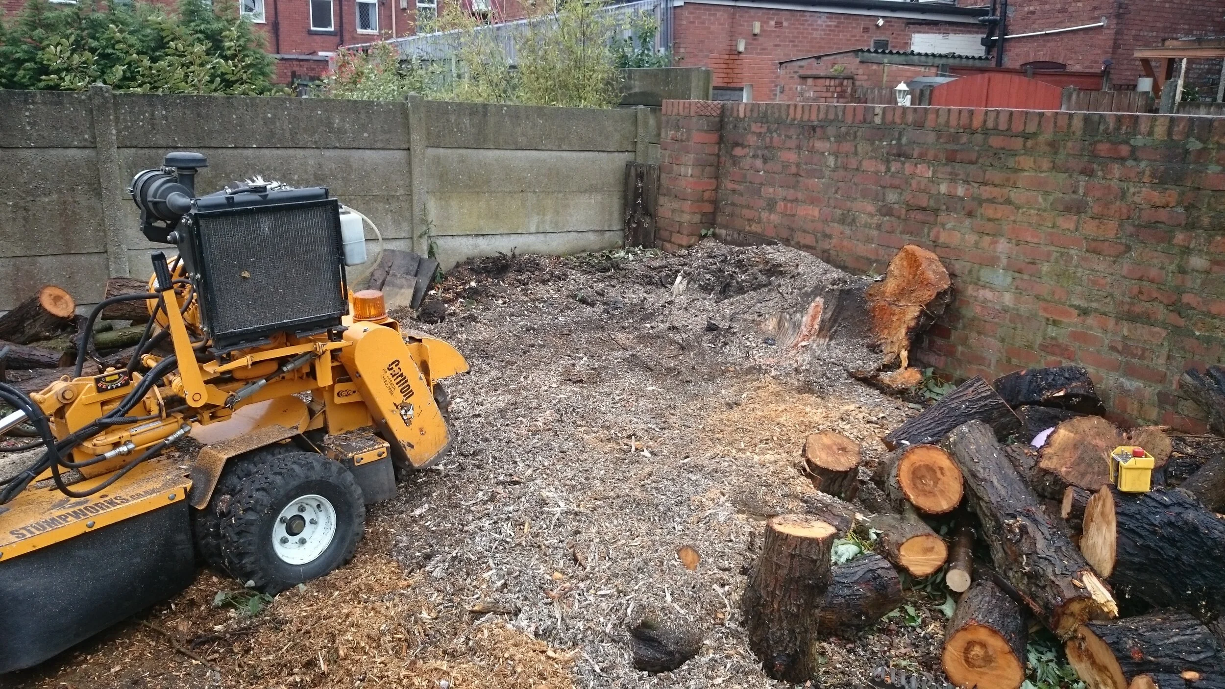 Why Do Homeowners Choose Stump Grinding Instead Of Excavation?