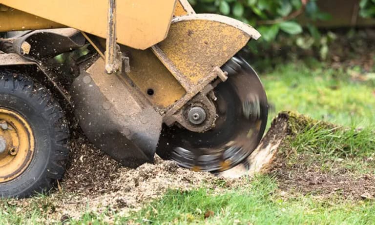 Stump Grinding Manchester